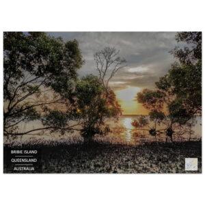 Bribie Island - Aluminum Print artwork wall art home decor