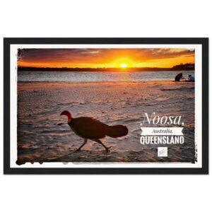 Noosa Bush Turkey in Sunset - Museum-Quality Wooden Frame